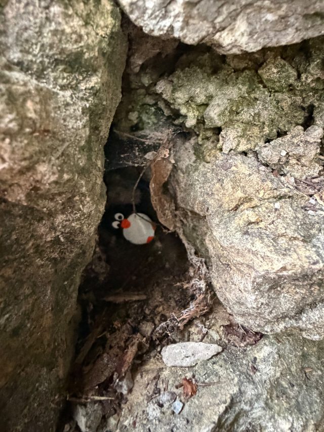 Hand-painted penguin stone #1154 hidden at Church of the Assumption, Banska Bystrica, Slovakia (photo 3 of 5)