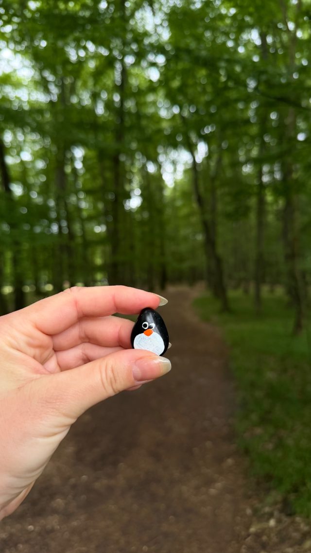 Hand-painted penguin stone #1157 hidden at Kacin, Bratislava, Slovakia (photo 2 of 4)