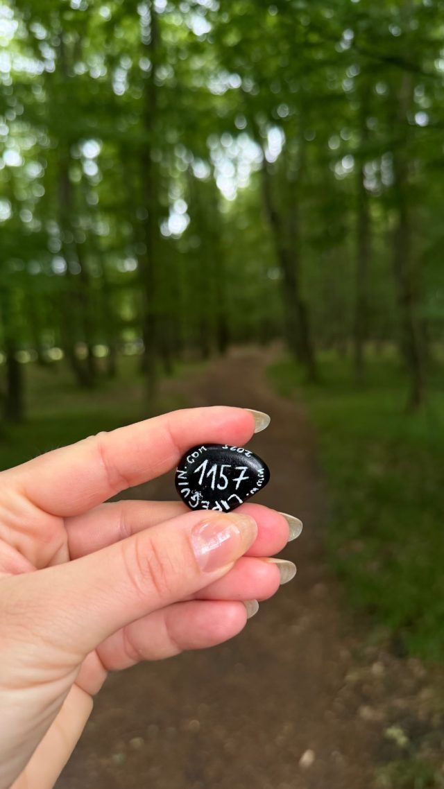 Hand-painted penguin stone #1157 hidden at Kacin, Bratislava, Slovakia (photo 3 of 4)