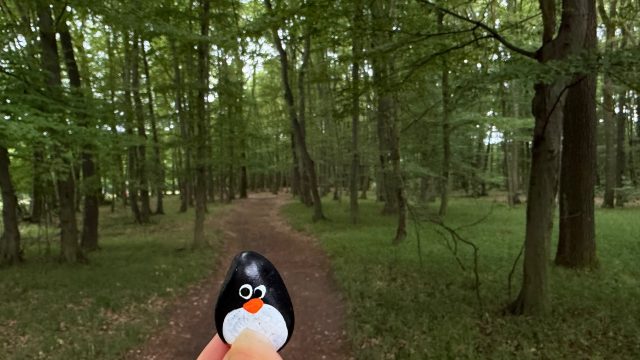 Hand-painted penguin stone #1157 hidden at Kacin, Bratislava, Slovakia