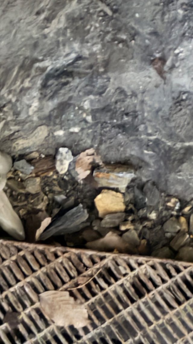 Hand-painted penguin stone #1166 hidden at Bridge, Liechtenstein Gorge, Austria (photo 4 of 5)