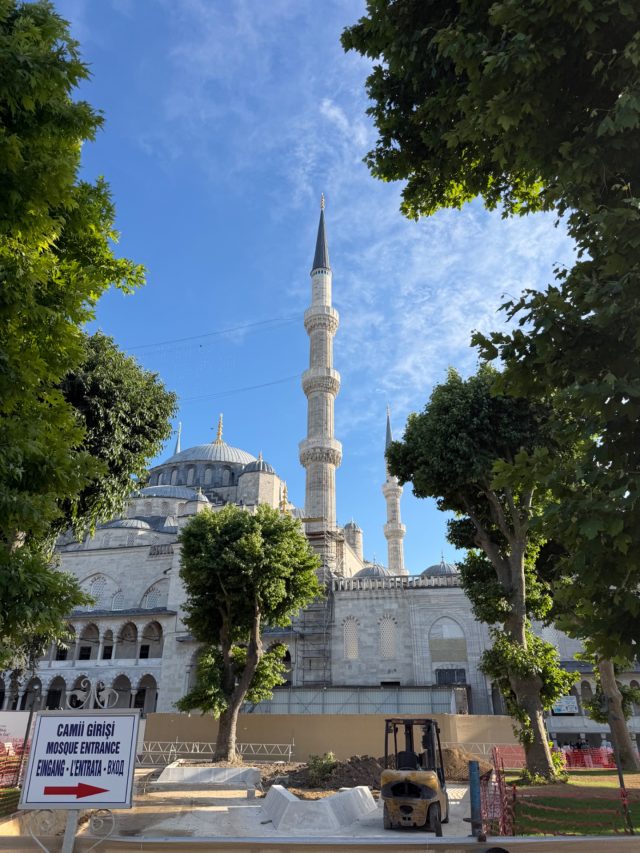 Hand-painted penguin stone #1174 hidden at The Blue Mosque Sultanahmet Camii, Istanbul, Turkiye (photo 3 of 5)