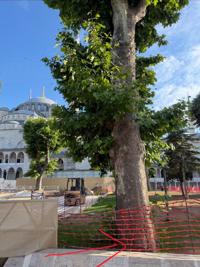 Hand-painted penguin stone #1174 hidden at The Blue Mosque Sultanahmet Camii, Istanbul, Turkiye (photo 5 of 5)