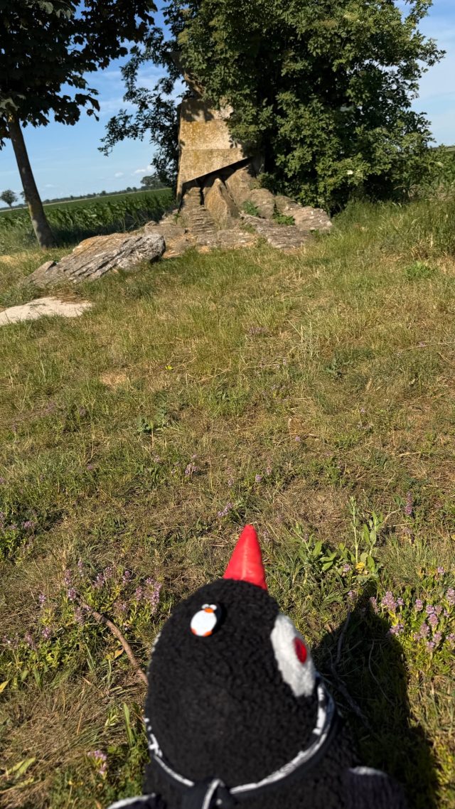 Hand-painted penguin stone #1180 hidden at Stone Statue, Tripoint, Austria (photo 2 of 5)