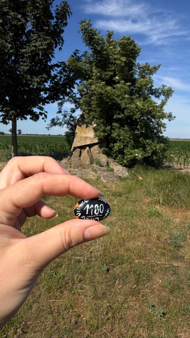 Hand-painted penguin stone #1180 hidden at Stone Statue, Tripoint, Austria (photo 3 of 5)