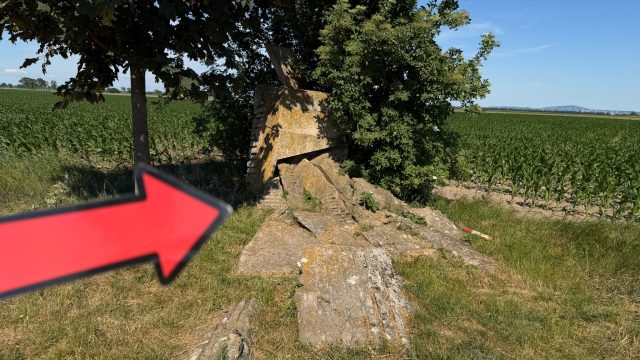 Hand-painted penguin stone #1180 hidden at Stone Statue, Tripoint, Austria (photo 4 of 5)