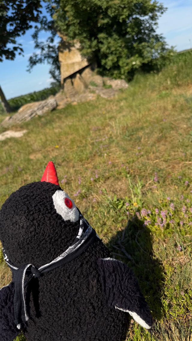 Hand-painted penguin stone #1180 hidden at Stone Statue, Tripoint, Austria (photo 5 of 5)