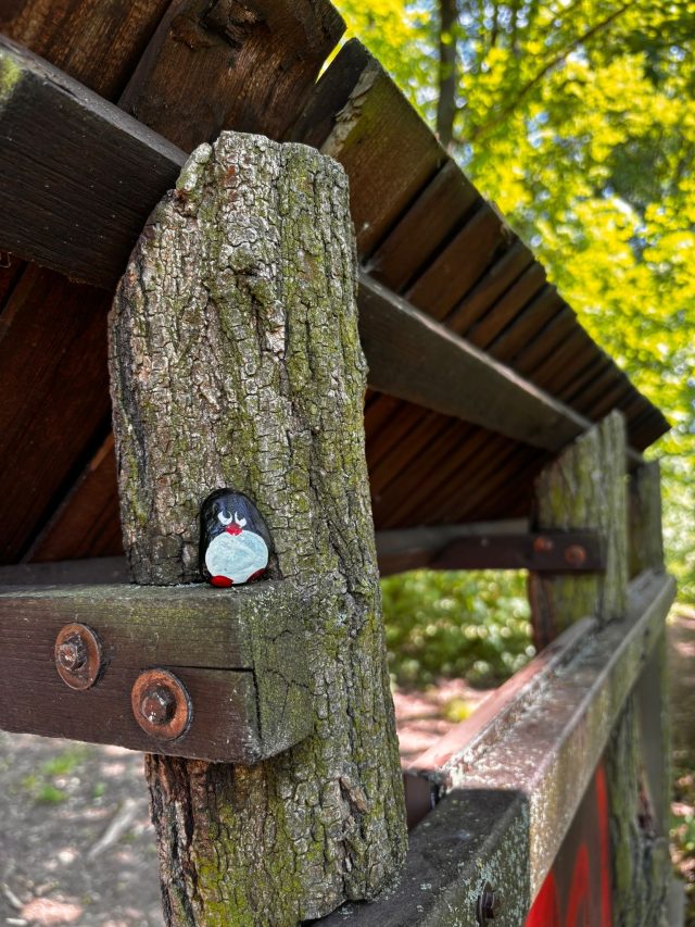Hand-painted penguin stone #1186 hidden at Viewpoint overlooking St. Barbara's Church, Kutna Hora, Czechia (photo 3 of 5)