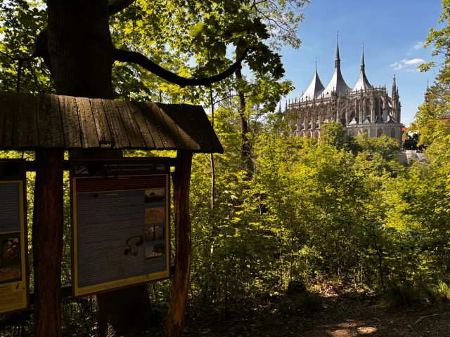 Hand-painted penguin stone #1186 hidden at Viewpoint overlooking St. Barbara's Church, Kutna Hora, Czechia (photo 4 of 5)