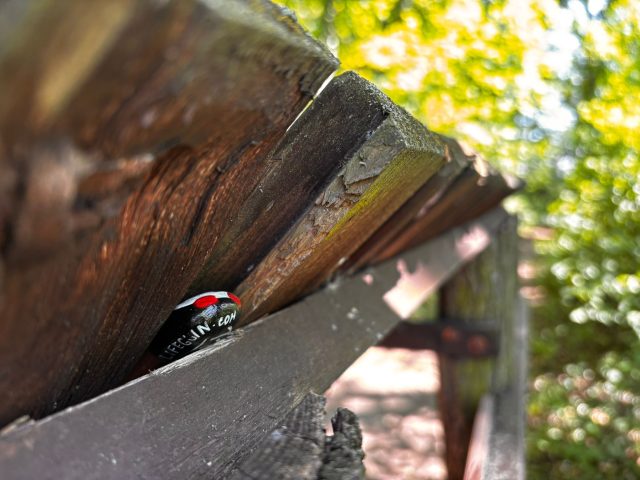 Hand-painted penguin stone #1186 hidden at Viewpoint overlooking St. Barbara's Church, Kutna Hora, Czechia (photo 5 of 5)