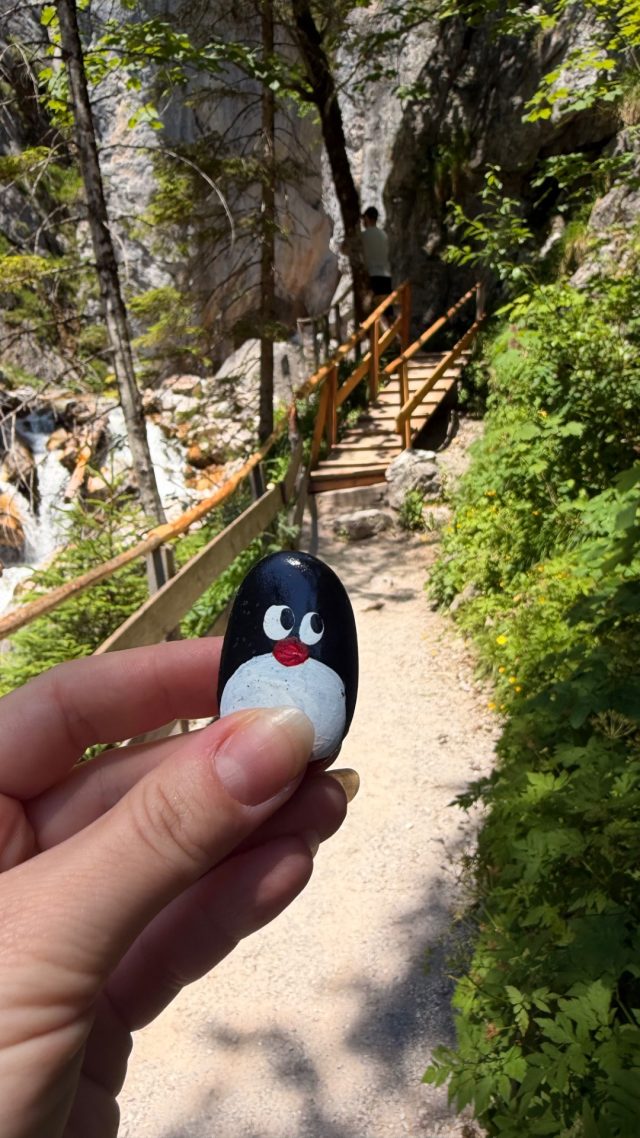 Hand-painted penguin stone #1199 hidden at Rock in Silberkarklamm, Silberkarklamm, Austria (photo 3 of 5)