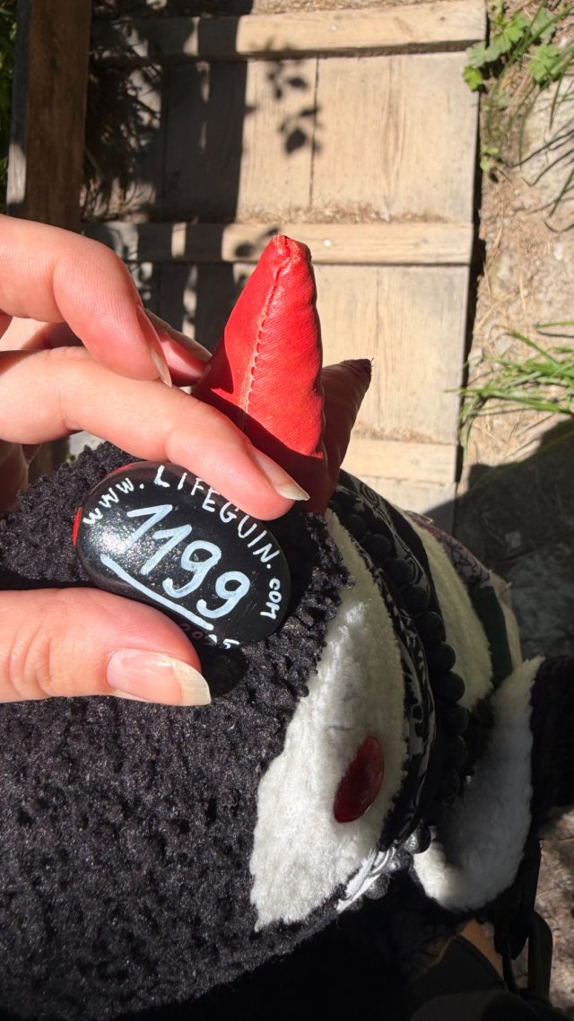 Hand-painted penguin stone #1199 hidden at Rock in Silberkarklamm, Silberkarklamm, Austria (photo 4 of 5)