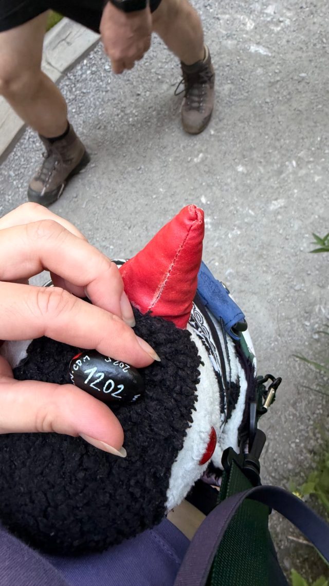 Hand-painted penguin stone #1202 hidden at Rocks at Entrance, Sankt Johann im Pongau, Austria (photo 2 of 5)