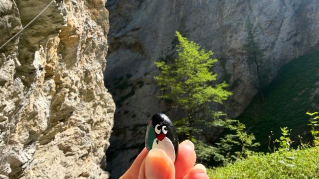 Hand-painted penguin stone #1202 hidden at Rocks at Entrance, Sankt Johann im Pongau, Austria (photo 3 of 5)