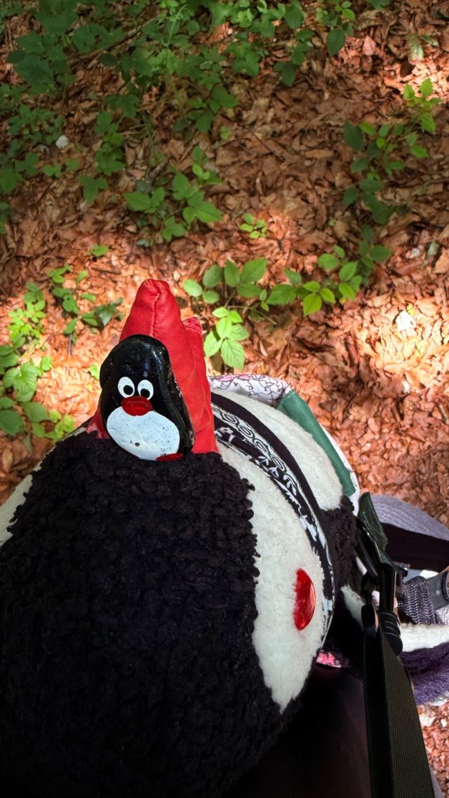 Hand-painted penguin stone #1203 hidden at Cut down tree trunk, St. Wolfgang im Salzkammergut, Austria (photo 3 of 5)