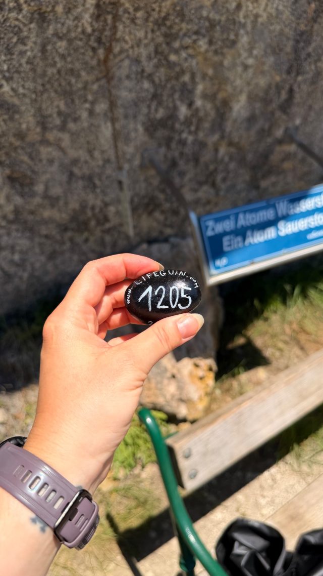 Hand-painted penguin stone #1205 hidden at Behind a Bench, Vorderer Gosausee, Austria (photo 2 of 5)