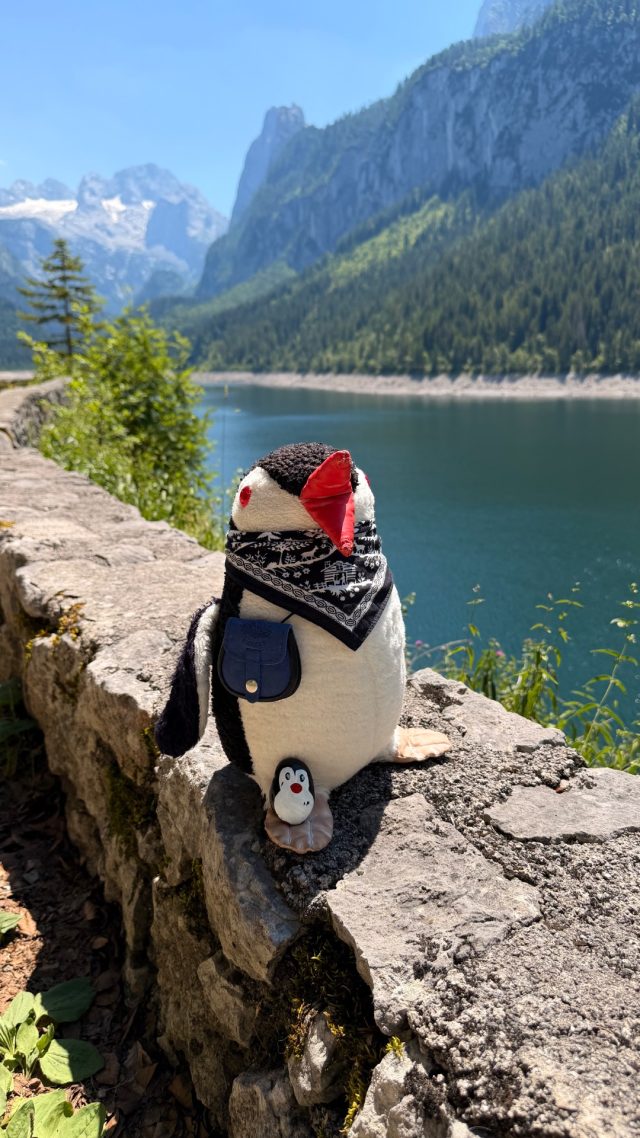 Hand-painted penguin stone #1205 hidden at Behind a Bench, Vorderer Gosausee, Austria (photo 3 of 5)