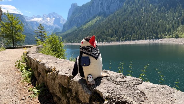 Ručne maľovaný tučniakový kameň č. 1205 ukrytý na mieste Behind a Bench, Vorderer Gosausee, Rakúsko