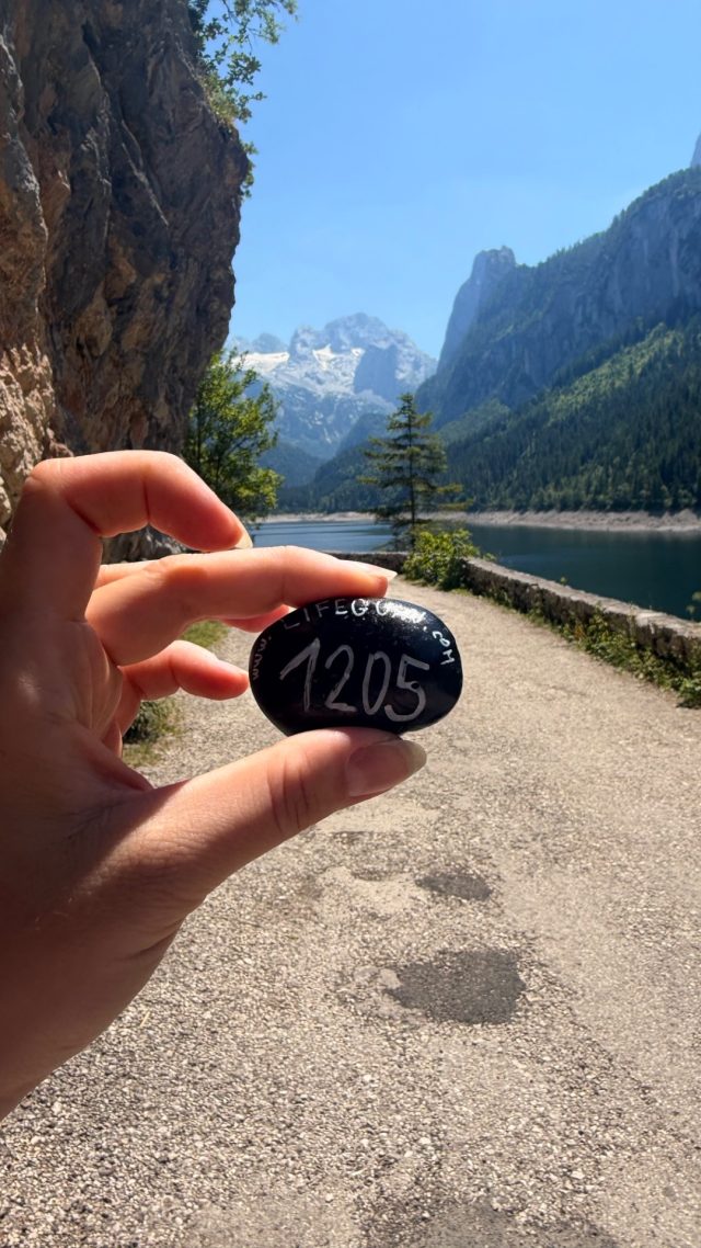 Hand-painted penguin stone #1205 hidden at Behind a Bench, Vorderer Gosausee, Austria (photo 4 of 5)