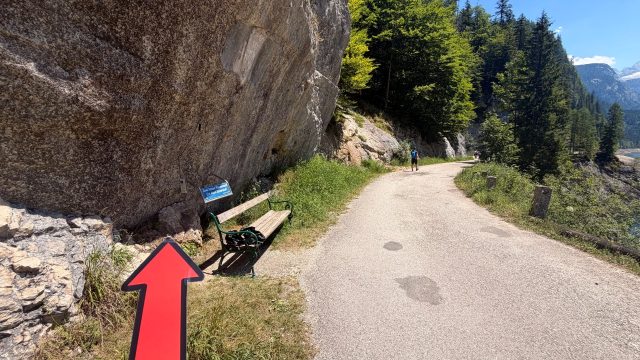 Hand-painted penguin stone #1205 hidden at Behind a Bench, Vorderer Gosausee, Austria (photo 5 of 5)