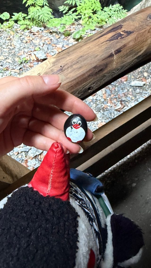 Hand-painted penguin stone #1217 hidden at Waterfall, Liechtenstein Gorge, Austria (photo 4 of 5)