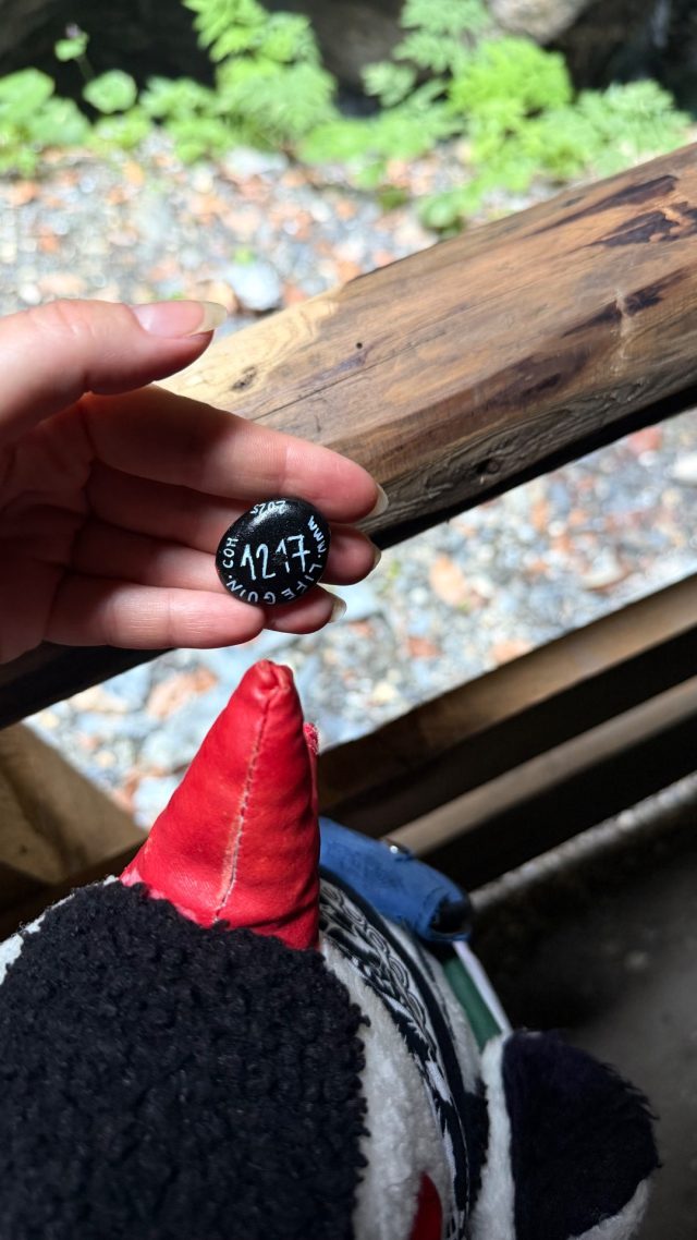 Hand-painted penguin stone #1217 hidden at Waterfall, Liechtenstein Gorge, Austria (photo 5 of 5)