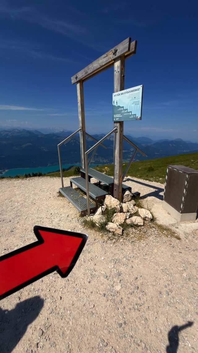 Hand-painted penguin stone #1222 hidden at Observation Deck, Schafberg, Austria (photo 3 of 5)