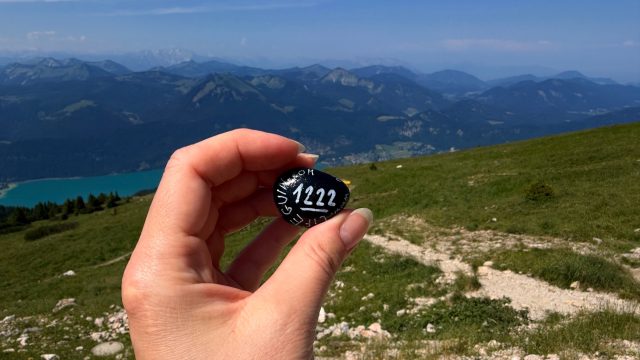 Hand-painted penguin stone #1222 hidden at Observation Deck, Schafberg, Austria (photo 5 of 5)