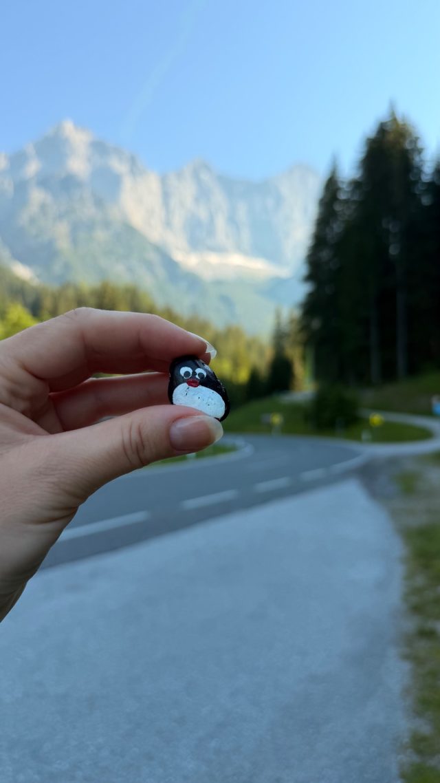 Hand-painted penguin stone #1223 hidden at Sign, Ramsau am Dachstein, Austria (photo 3 of 5)