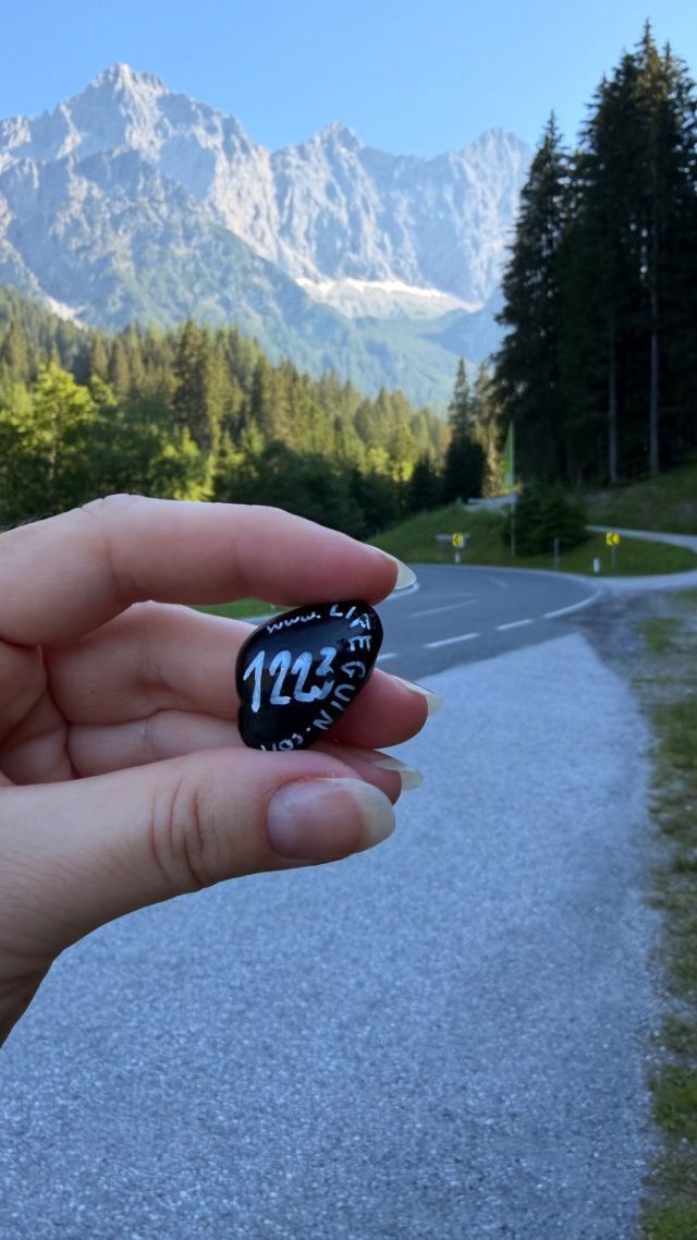 Hand-painted penguin stone #1223 hidden at Sign, Ramsau am Dachstein, Austria (photo 4 of 5)