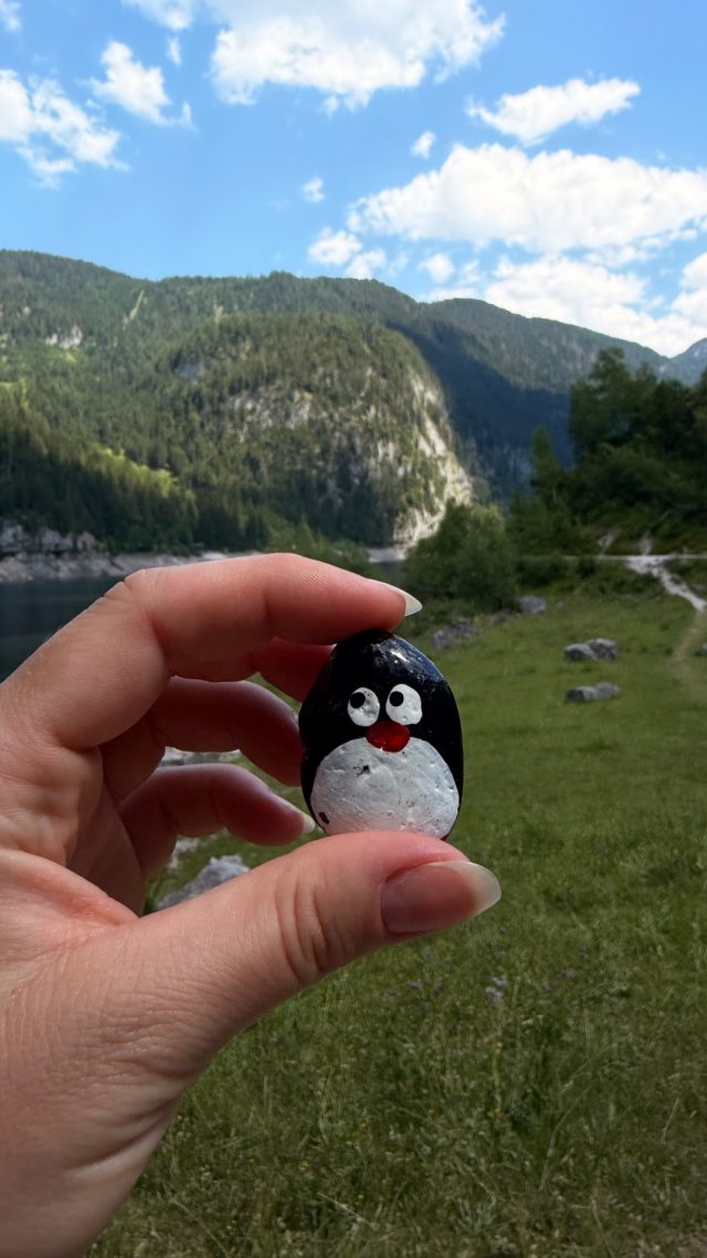 Hand-painted penguin stone #1230 hidden at Tree Trunk, Vorderer Gosause, Austria (photo 3 of 5)
