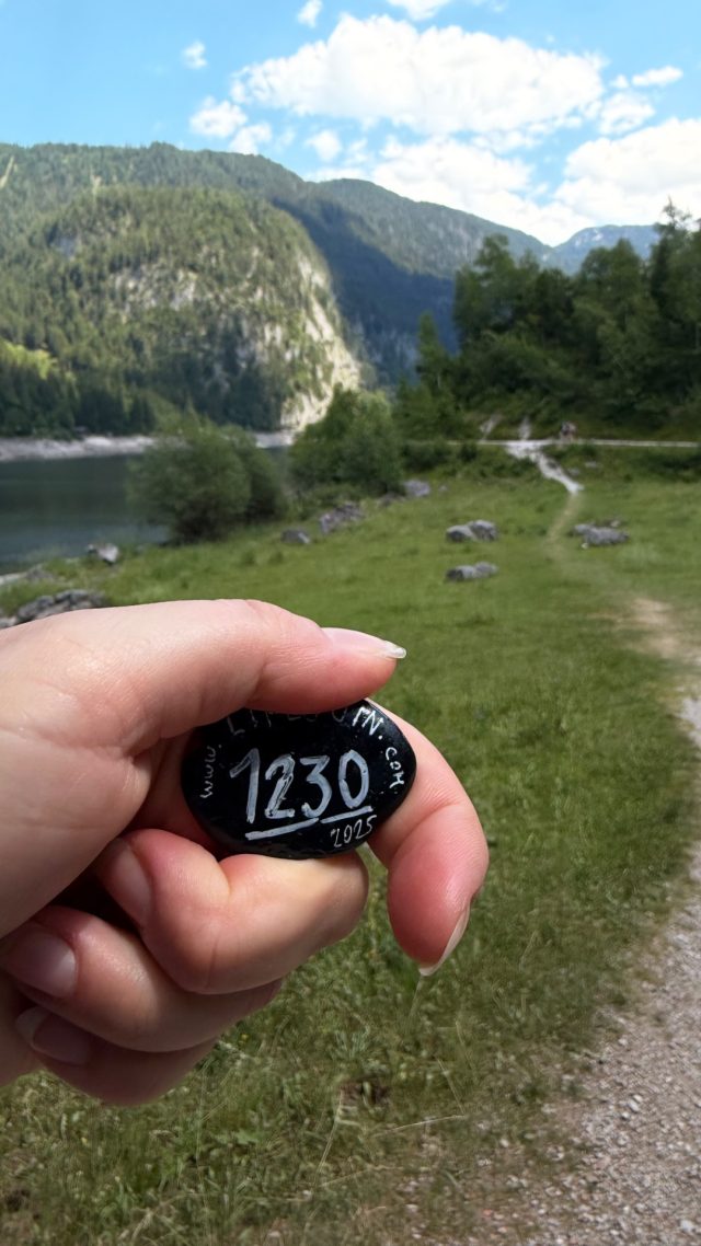 Hand-painted penguin stone #1230 hidden at Tree Trunk, Vorderer Gosause, Austria (photo 4 of 5)