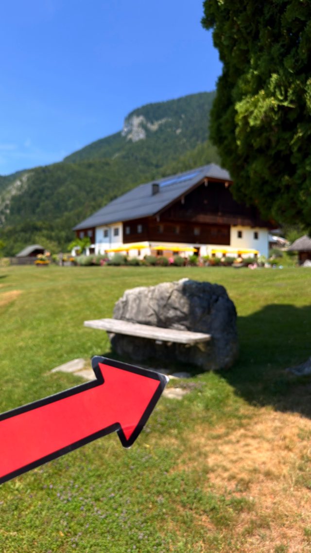 Hand-painted penguin stone #1235 hidden at Jausenstation Aschinger, Reid, Austria (photo 3 of 5)