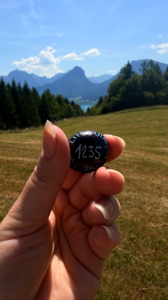 Hand-painted penguin stone #1235 hidden at Jausenstation Aschinger, Reid, Austria (photo 4 of 5)