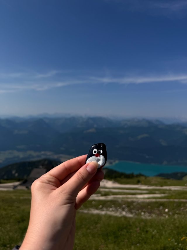 Hand-painted penguin stone #1237 hidden at Hotel Schafbergspitze, Sankt Gilgen, Austria (photo 3 of 5)