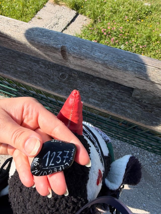 Hand-painted penguin stone #1237 hidden at Hotel Schafbergspitze, Sankt Gilgen, Austria (photo 4 of 5)
