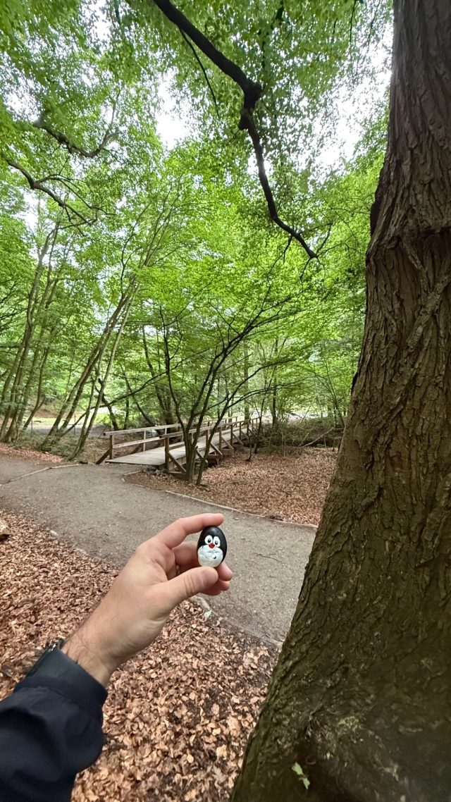 Hand-painted penguin stone #1245 hidden at The 9th Mill, Bratislava, Slovakia (photo 3 of 4)