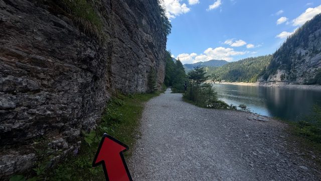 Hand-painted penguin stone #1252 hidden at Stone Wall, Vorderer Gosausee, Austria (photo 2 of 5)