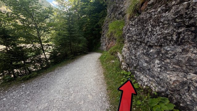 Hand-painted penguin stone #1252 hidden at Stone Wall, Vorderer Gosausee, Austria (photo 3 of 5)