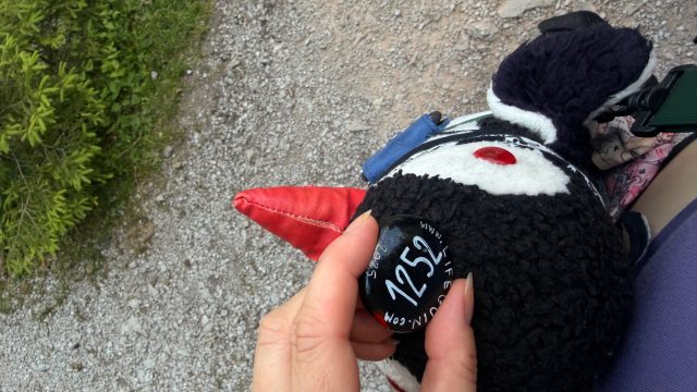 Hand-painted penguin stone #1252 hidden at Stone Wall, Vorderer Gosausee, Austria (photo 4 of 5)