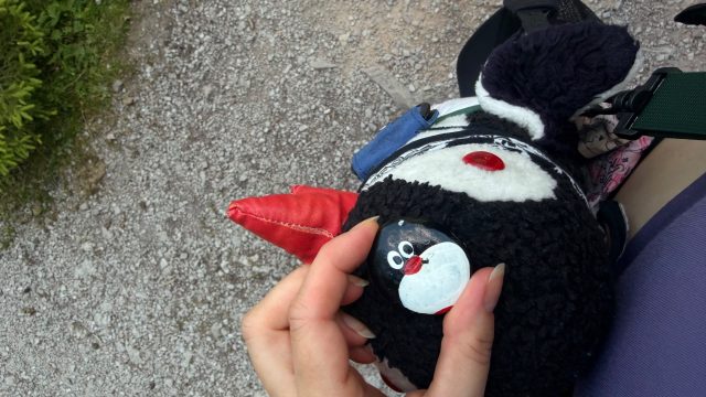 Hand-painted penguin stone #1252 hidden at Stone Wall, Vorderer Gosausee, Austria (photo 5 of 5)