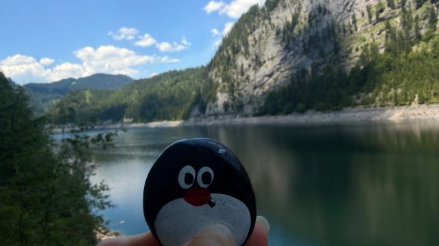 Ručne maľovaný tučniakový kameň č. 1252 ukrytý na mieste Stone Wall, Vorderer Gosausee, Rakúsko