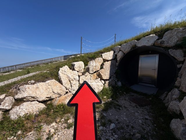 Hand-painted penguin stone #1257 hidden at Rocks at Entrance, Schafberg, Austria (photo 2 of 5)
