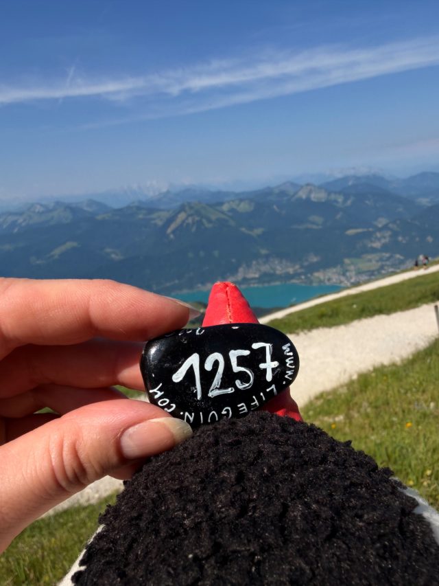 Hand-painted penguin stone #1257 hidden at Rocks at Entrance, Schafberg, Austria (photo 4 of 5)