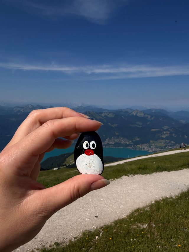 Hand-painted penguin stone #1257 hidden at Rocks at Entrance, Schafberg, Austria (photo 5 of 5)