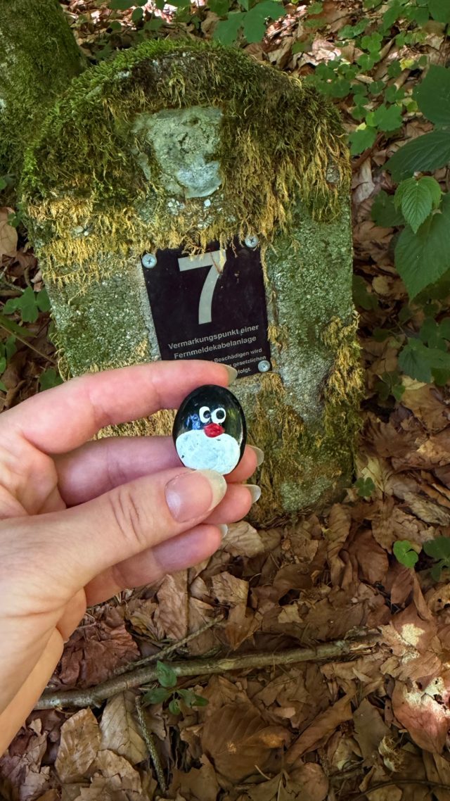 Hand-painted penguin stone #1259 hidden at Sign 7, Reid, Austria (photo 4 of 5)
