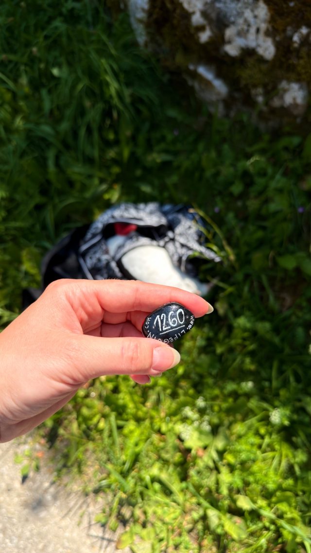 Hand-painted penguin stone #1260 hidden at Rocks next to water route,, St. Wolfgang im Salzkammergut, Austria (photo 3 of 5)