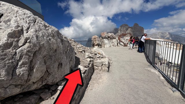 Hand-painted penguin stone #1262 hidden at Dachstein, Obertraun, Austria (photo 2 of 5)