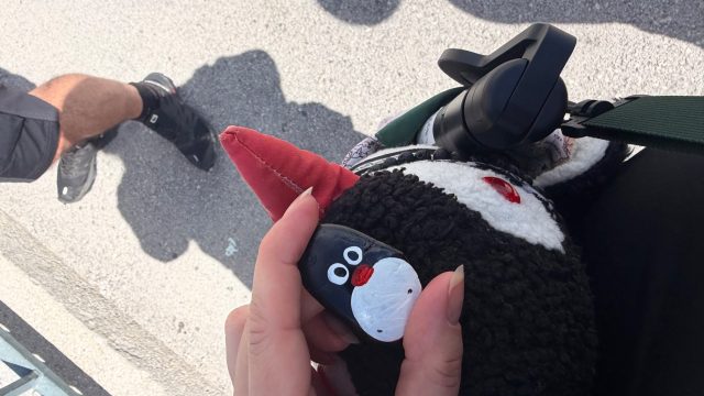 Hand-painted penguin stone #1262 hidden at Dachstein, Obertraun, Austria (photo 4 of 5)