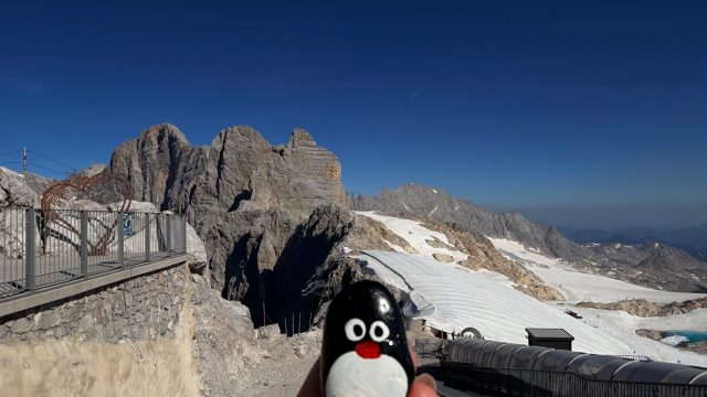 Hand-painted penguin stone #1262 hidden at Dachstein, Obertraun, Austria (photo 5 of 5)
